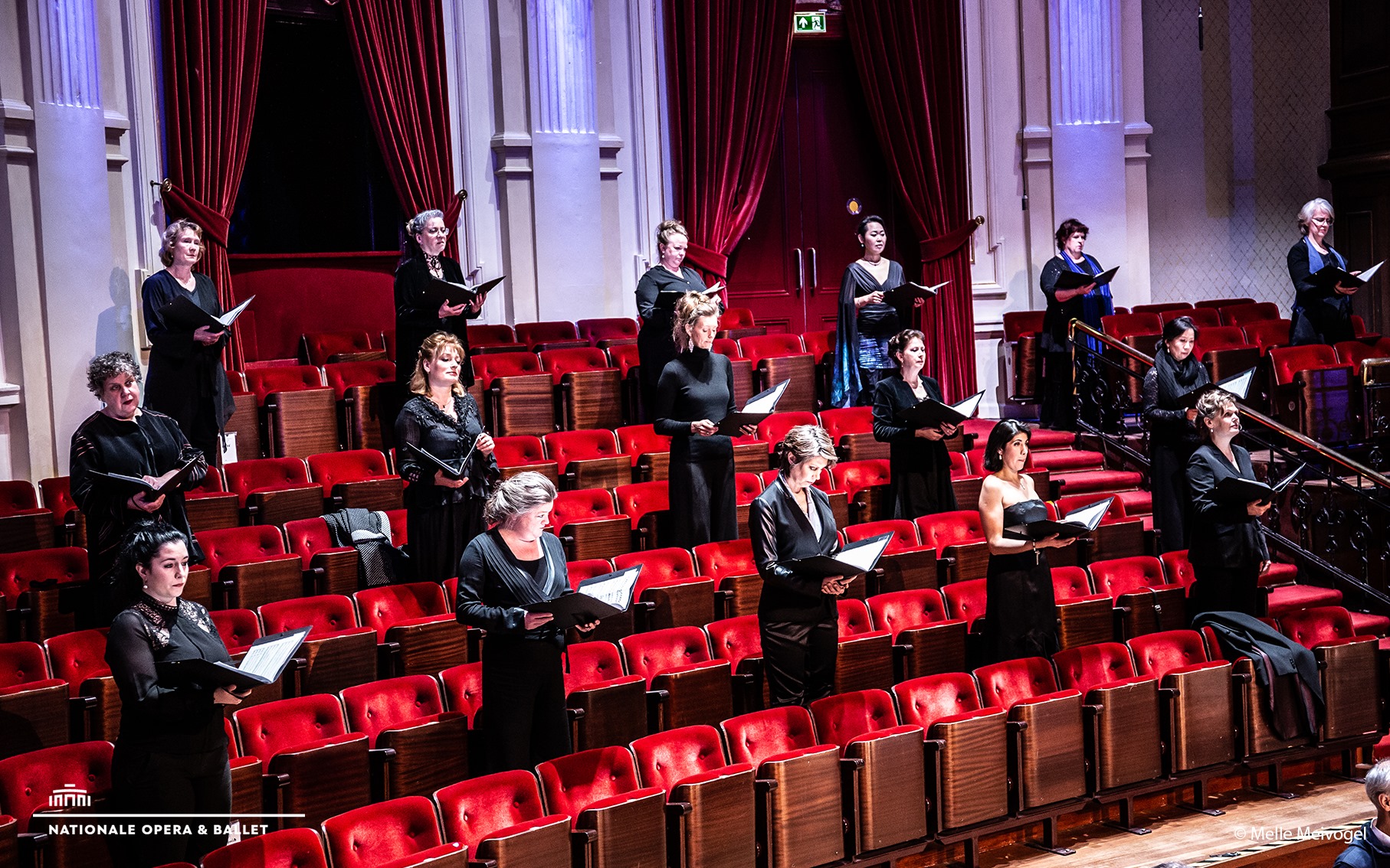 На фото - репетиция онлайн-концерта в Голландской национальной опере. Фото из соцсетей театра.