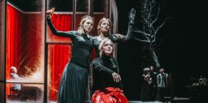 Васса Железнова