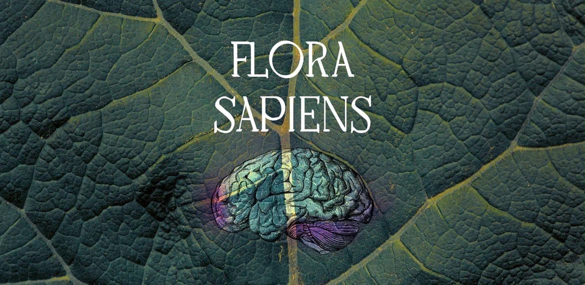 Афиша спектакля Flora Sapiens © соцсети Liquid Theatre