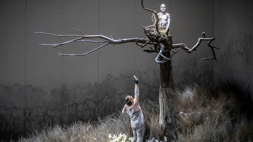 На фото — сцена из  спектакля «Золотой петушок» © Monika Rittershaus / сайт Komische Oper Berlin 