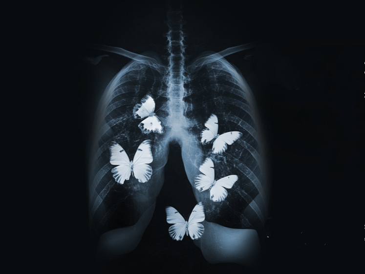 Фрагмент афиши спектакля «Дама с собачкой» © globus-nsk.ru