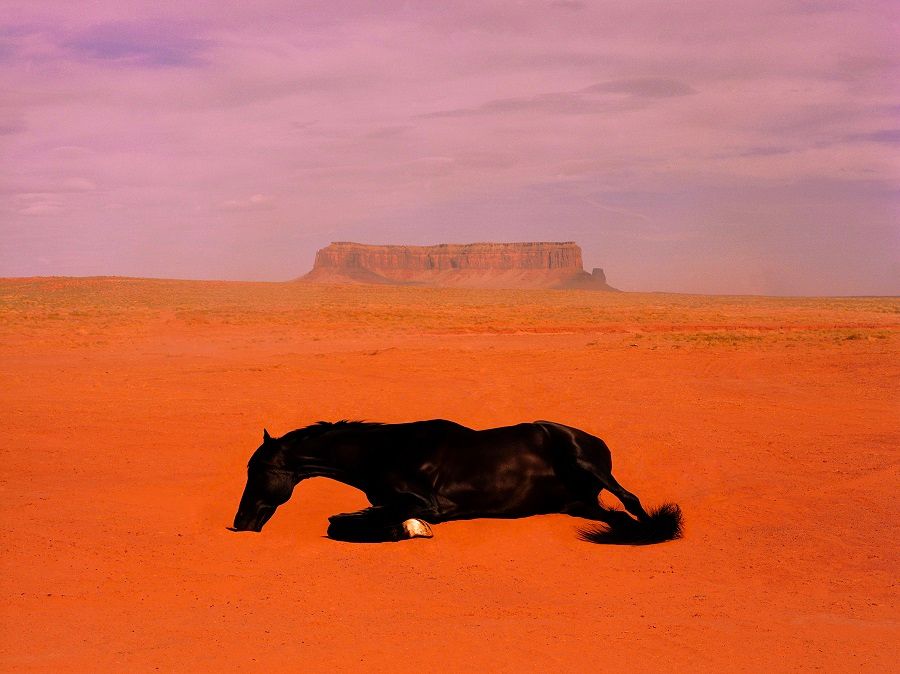 На фото –промоизображение драмы «Час лошади» © contextfest.com