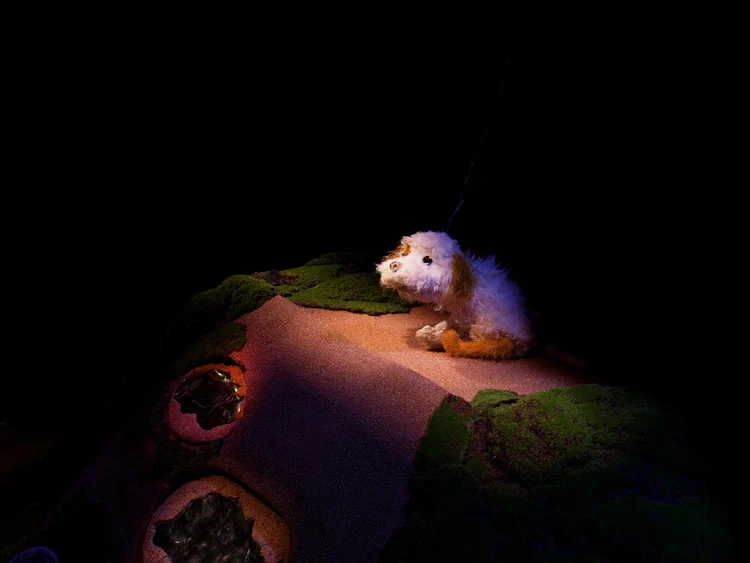 На фото — сцена из спектакля «Умная собачка Соня» © пресс-служба театра "Karlsson Haus"