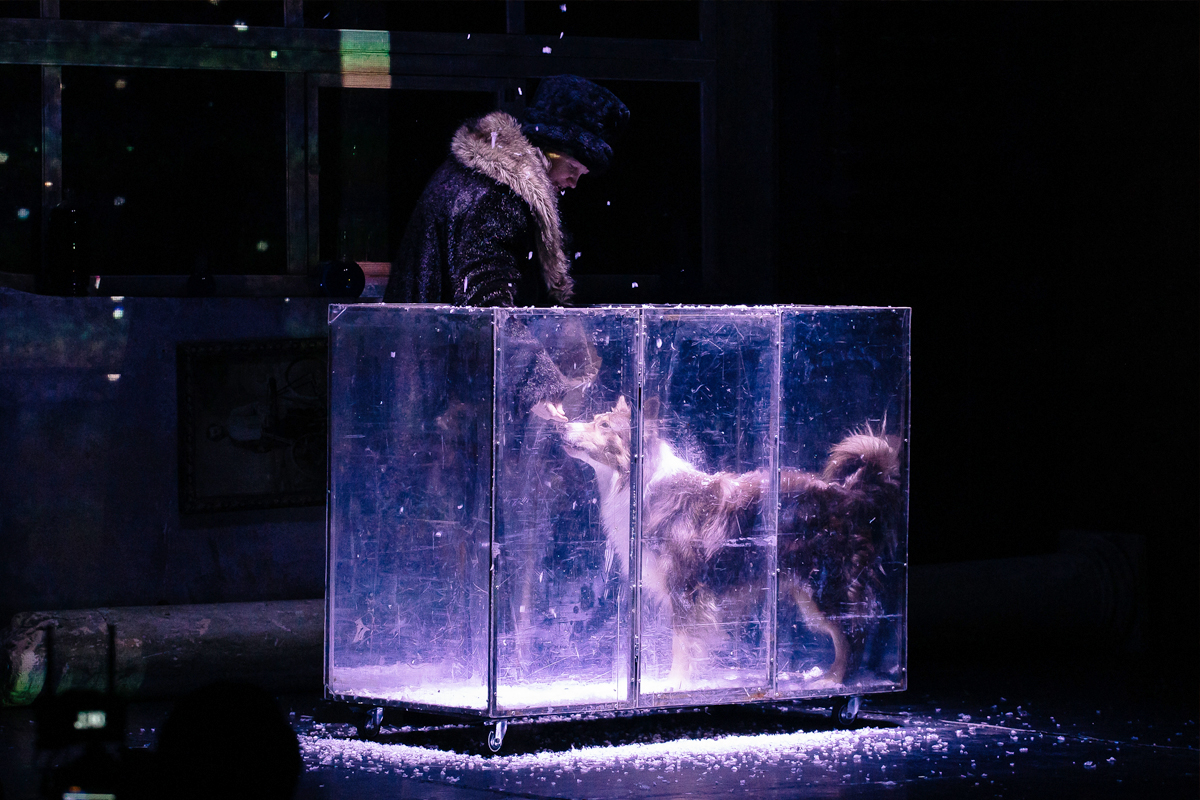 На фото &mdash; сцена из спектакля &laquo;Собачье сердце&raquo; &copy; russdramteatr.ru